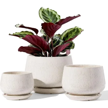 Set of 3 Ceramic Plant Pots 1