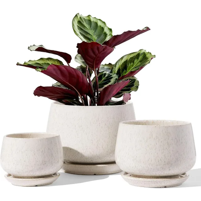 Set of 3 Ceramic Plant Pots 1