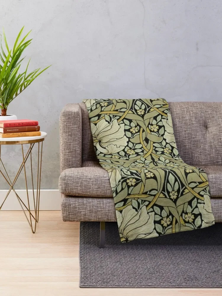 ������ �𸮽� �������� HD ���ο� ���, ǫ���� �ε巯�� ����, ķ�� ���