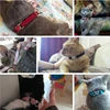 Heart Charm and Bell Cat Collar Safety Elastic Adjustable with Soft Velvet Material 8 Colors Pet Product Small Dog Collar 2