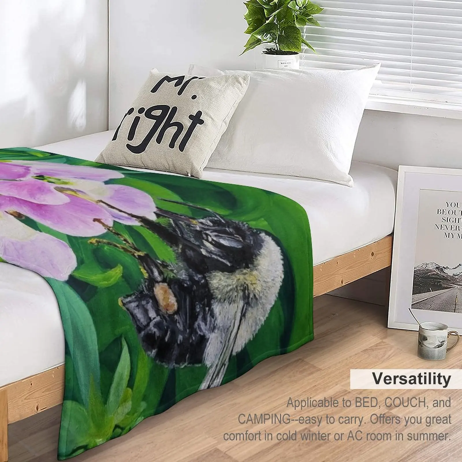 �ܹ� �� ������ ���, �����̳� ���, �� �Ϳ��� ���, ���� ����