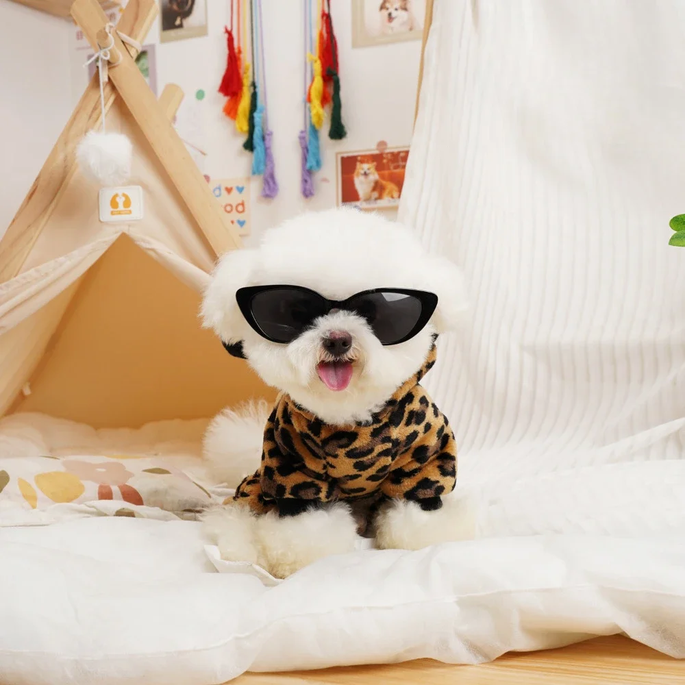

Женский свитер с рисунком маленькой собаки, осенне-зимний модный свитер с капюшоном и рисунком кошки с ремнем, Женский пудель, чихуахуа, йоркширский терьер