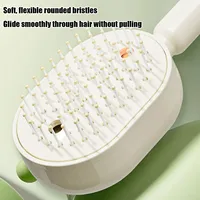 Wet Electrics Hairbrush with Water Spray Rechargeable Steams Hair Straightener for Detangling Smoothing Styling & Frizz Control 5