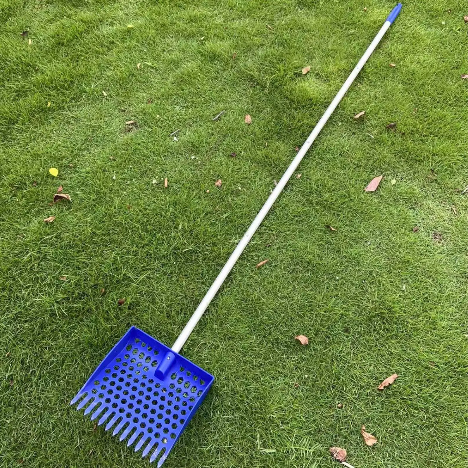 2 in 1 chicken manure shovel rake with detachable handle Chicken Poop Scooper for chicken coop and pet manure cleaning