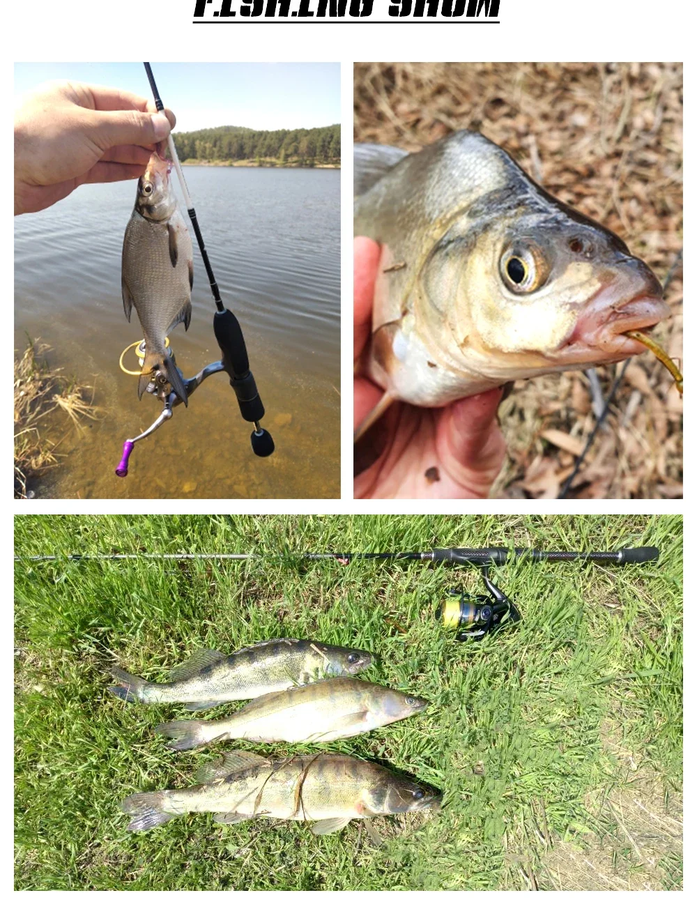 RoseWood Weicher Köder Angelköder Wurm Eichhörnchen Schwanz Straße Sub-Köder Swimbait Insekten Regenwurm Gefälschte Fische Forelle Bass Drop Shot Pesca – Detail 7