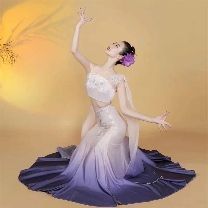 New Dai Dance Costume Peacock Dance Performance Costume Art Examination Performance Adult Practice Skirt Fishtail
