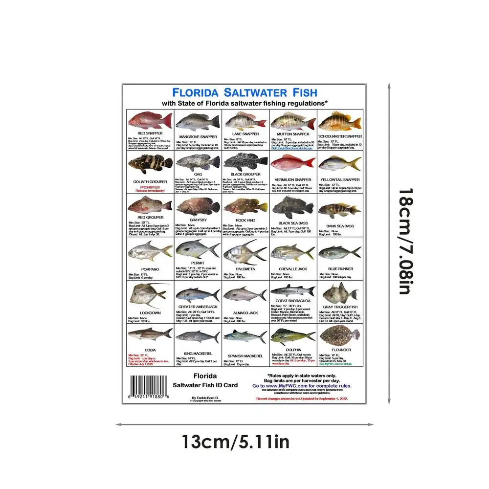 Florida Saltwater Fish Identification Card Fish Species Guide With