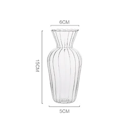 Nordic Creative Transparent Hydroponic Terrarium Vase (Transparent-M)