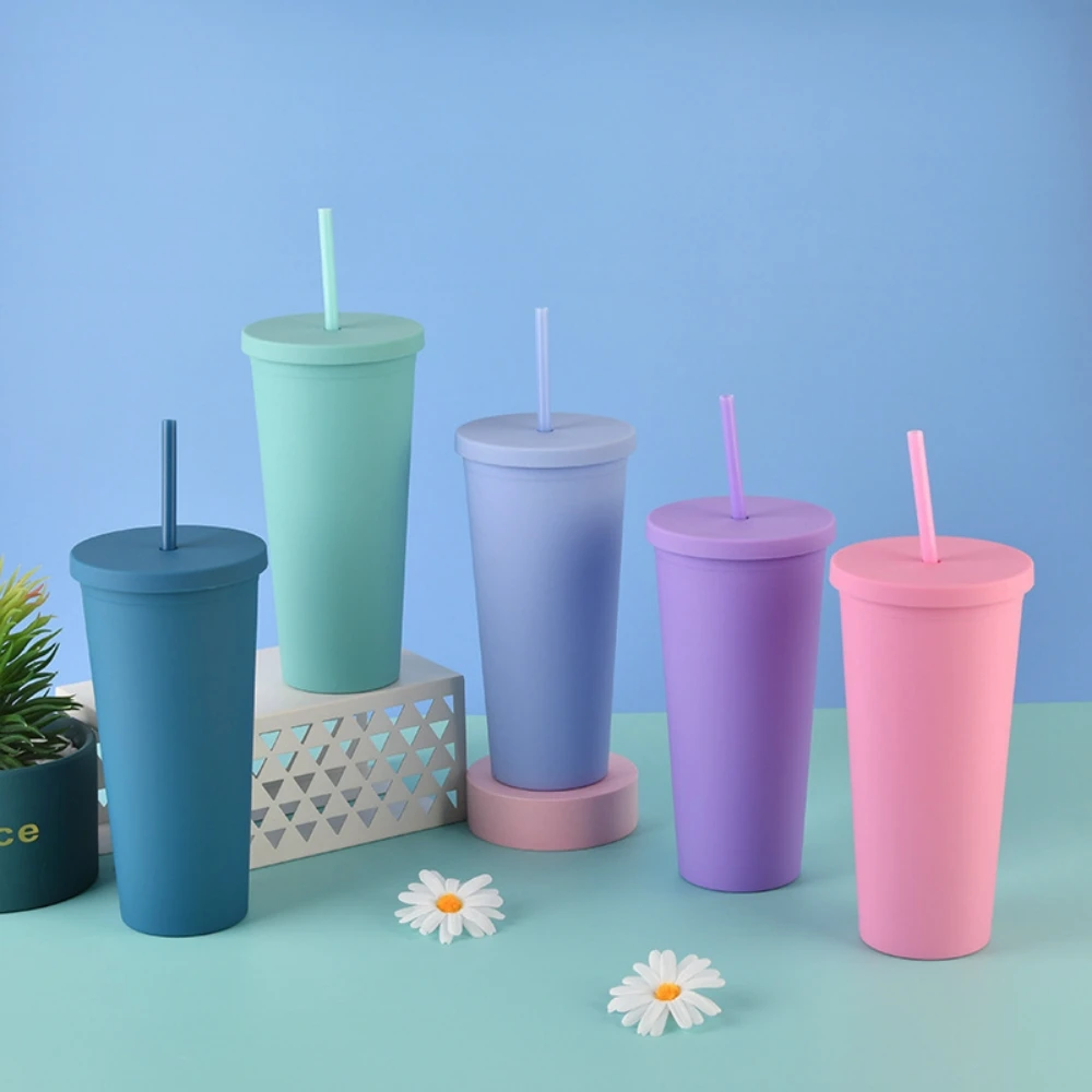 

Double Layer Plastic Straw Cup 22oz Large Capacity Outdoor Frosted Handy Water Cup Plastic Pastel Cup with Straw Lid Water Cup