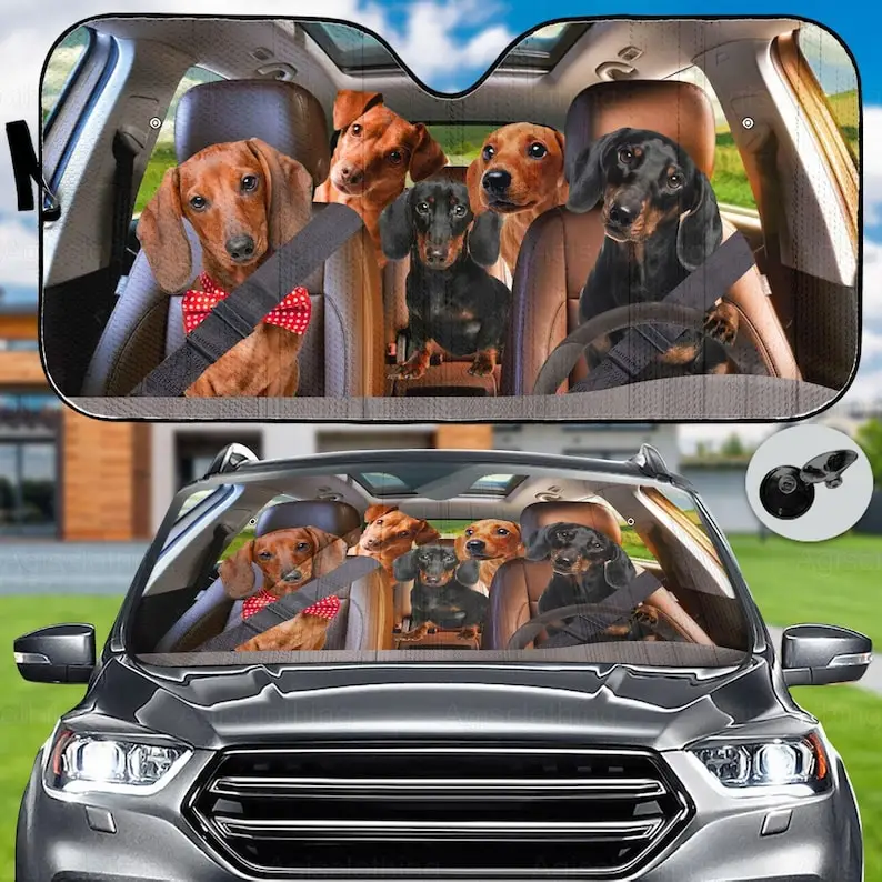 

Солнцезащитный козырек для семейного автомобиля такса, солнцезащитный козырек для автомобиля такса, солнцезащитный козырек для автомобиля такса, автомобильный козырек от солнца