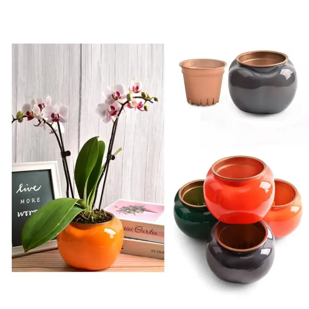 Description Picture 4 of itemHydroponic Plants Pot Self Watering Flowerpot Indoor Mini Succulent Planter Tabletop Vase Self-watering Home Office Bonsai Decor
