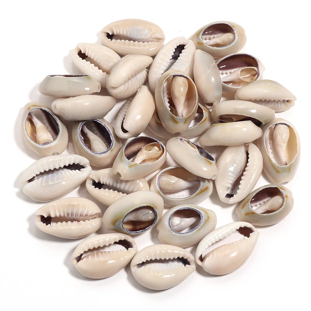 40g Natürliche Muschel Perlen Oval Spirale Conch Lose Spacer Perlen Für DIY Schmuck Machen Halskette Armbänder Telefon Kette liefert – Detail 12