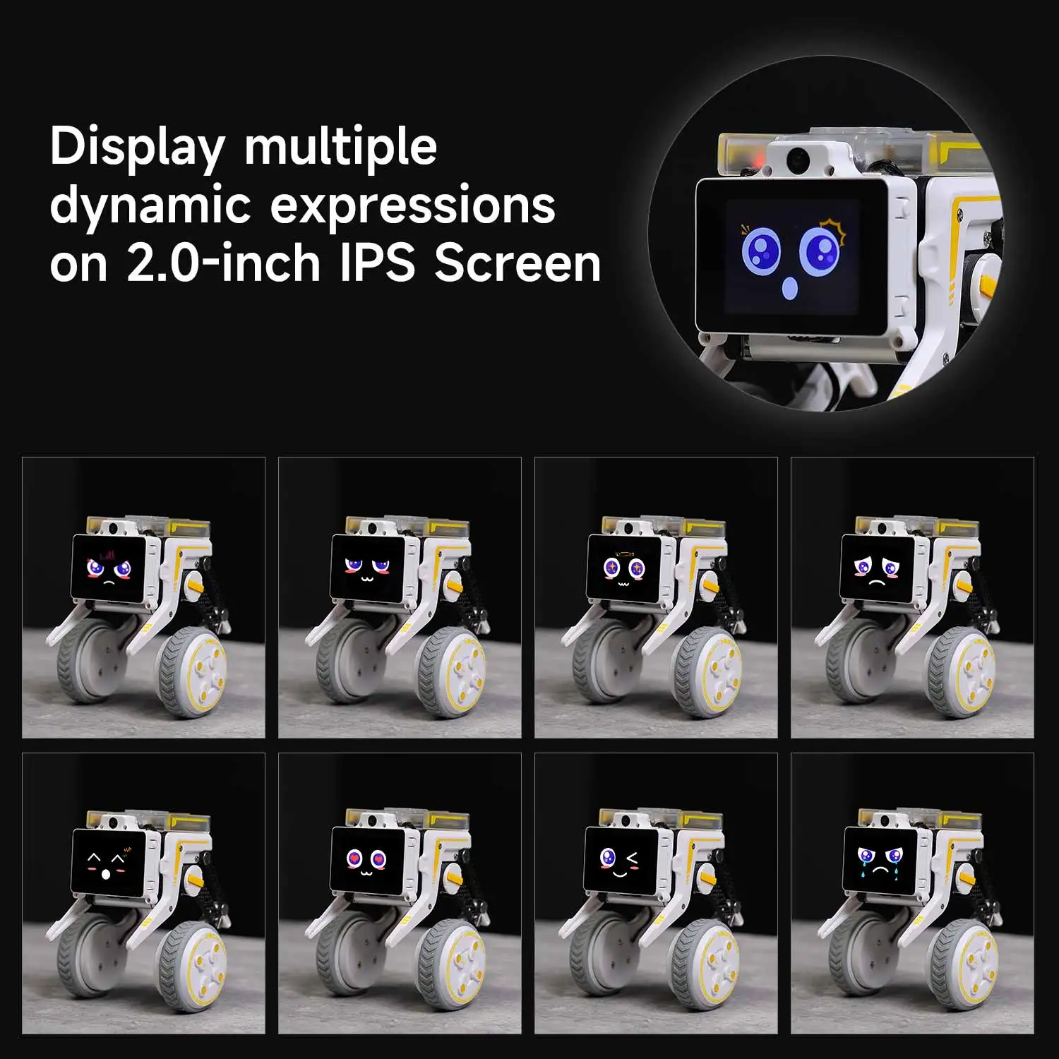 Rider-Pi AI Visual Robot Two Wheel Legged Smart Car Toys with IMU Module Python Programming Support ChatGPT Voice Interaction