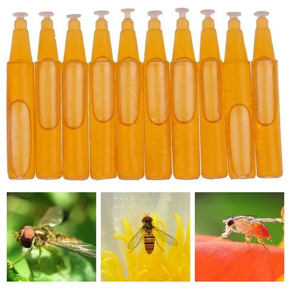 Drosophila Attractant Fruit Fly Trap Killer Drosophila Trap Fly Catcher Control Pest Insect 10Pcs fruit fly trap fly trap insect traps insect catcher
