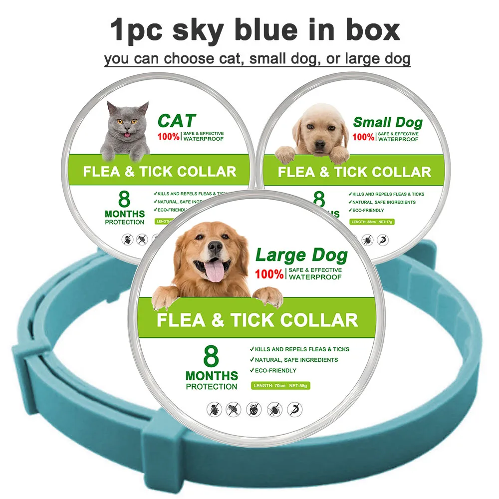 sky blue (in box)