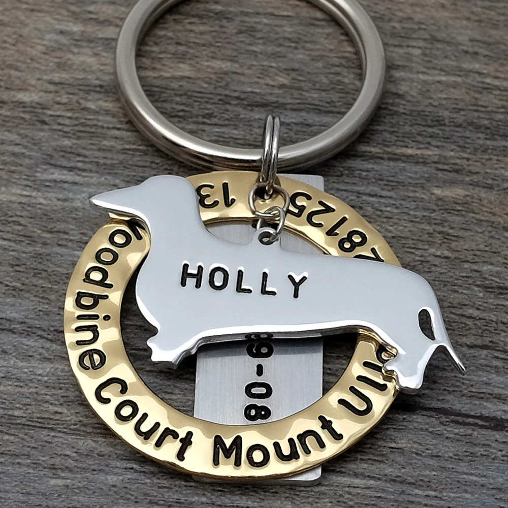 Dachshund Dogs Collars Dachshund Gifts Dogs Dog Collar Accessories