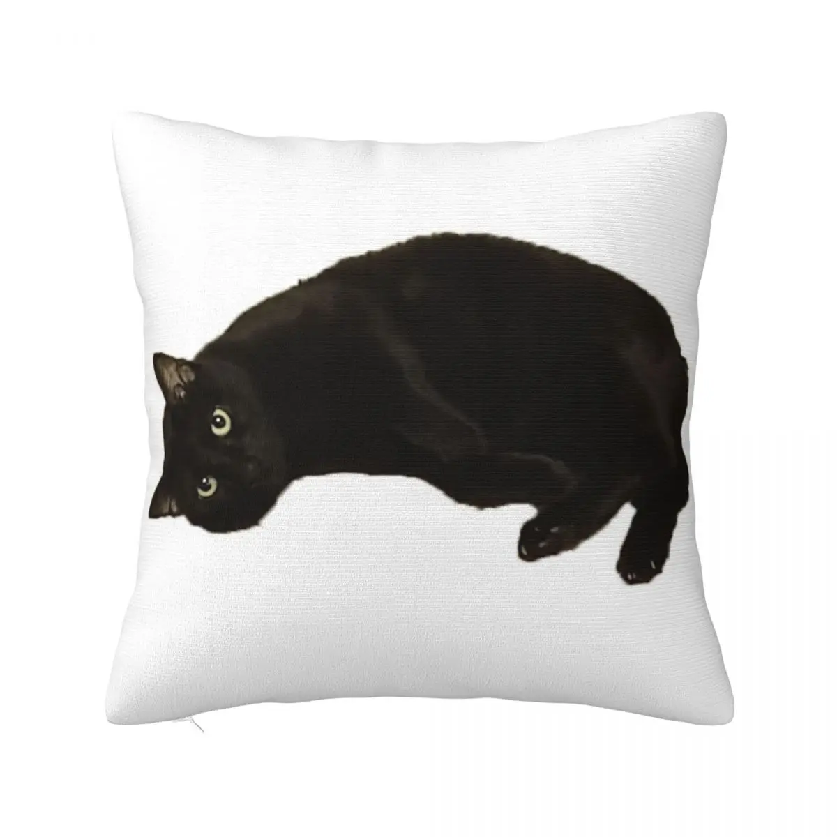 

Black Cat Throw Pillow Pillow Covers Decorative Christmas Throw Pillows Covers Sitting Cushion