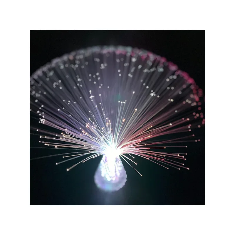 Multicolor Fiber Optic Lamp USB Starry Sky Light LED Luminous Desktop Light Creative Holiday Decoration Camping Atmosphere Lamp fiber optic lamp