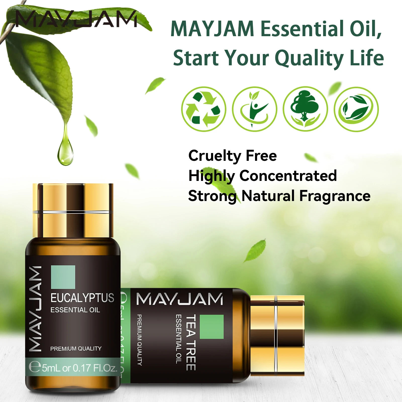 Luxury Essential Oils Gift Set - Aromatherapy & Home Scents Collection