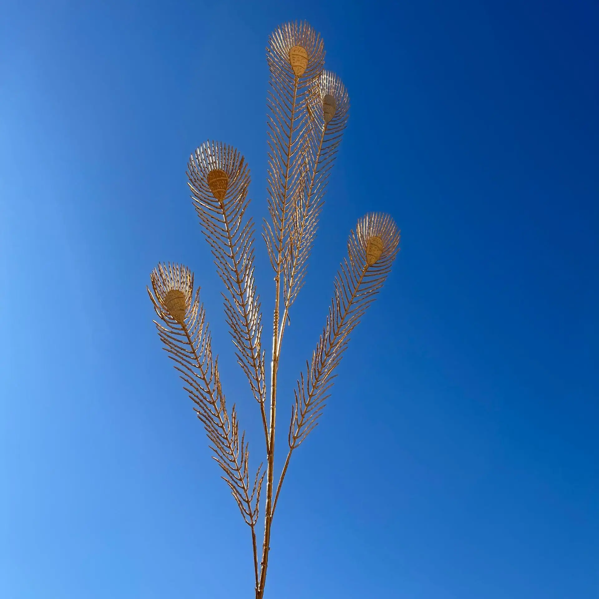 Phoenix tail leaf