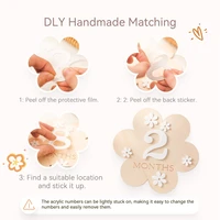 1 Set Wooden Baby Milestone 1-12 Monthly Flower Shape Milestone Cards Newborn Photo Accessories Photography Prop Birthing Gifts 3