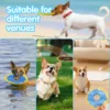Dog donuts, noisy paper toys, outdoor interactive, squeaking sound, bite resistant, suitable for small and medium-sized dogs 4