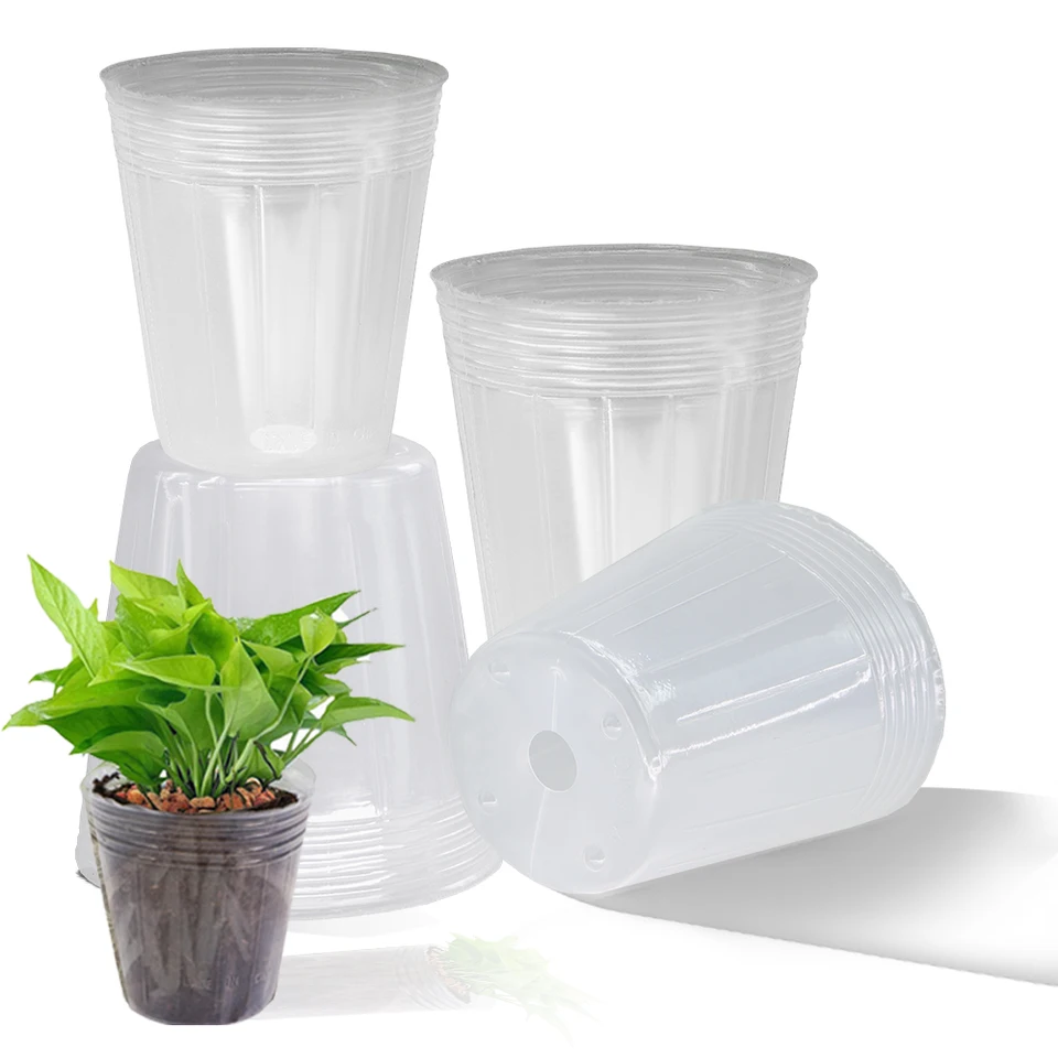 Reusable Transparent Nursery Pots for Plant Growth