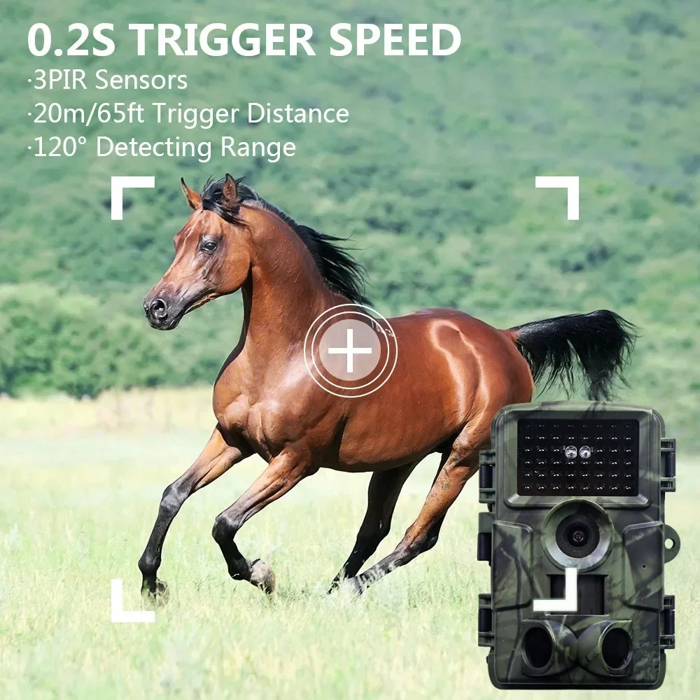 overzicht van camera-accessoires