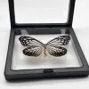 1pcs Real Butterfly Specimen Insect Home Decor Photo Frame   Desk Decoration Figurines Birthday Gift Teaching Training 6
