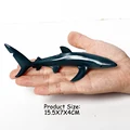 Blue Shark-2