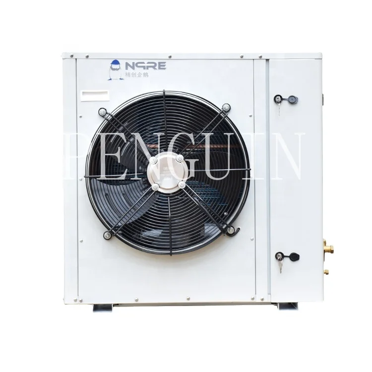 

3HP Good Price Refrigeration Air Cooled Box Type Scroll Condensing Unit For 20/40 Feet Container Cold Room