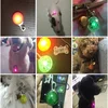 LED Luminous Dog Cat Collar Glowing Pendant Flash Lights Pet Leads Accessories Night Walking Pet Collar Supplies Accessorie 4