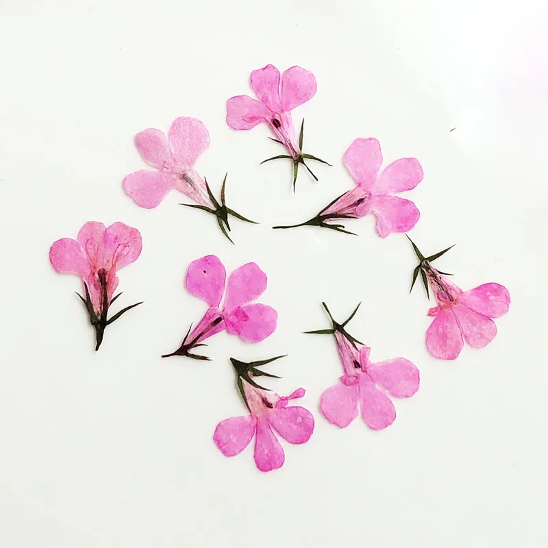 Slide image d3b5a0c96687413ebb3e9cbc9ae3b46c