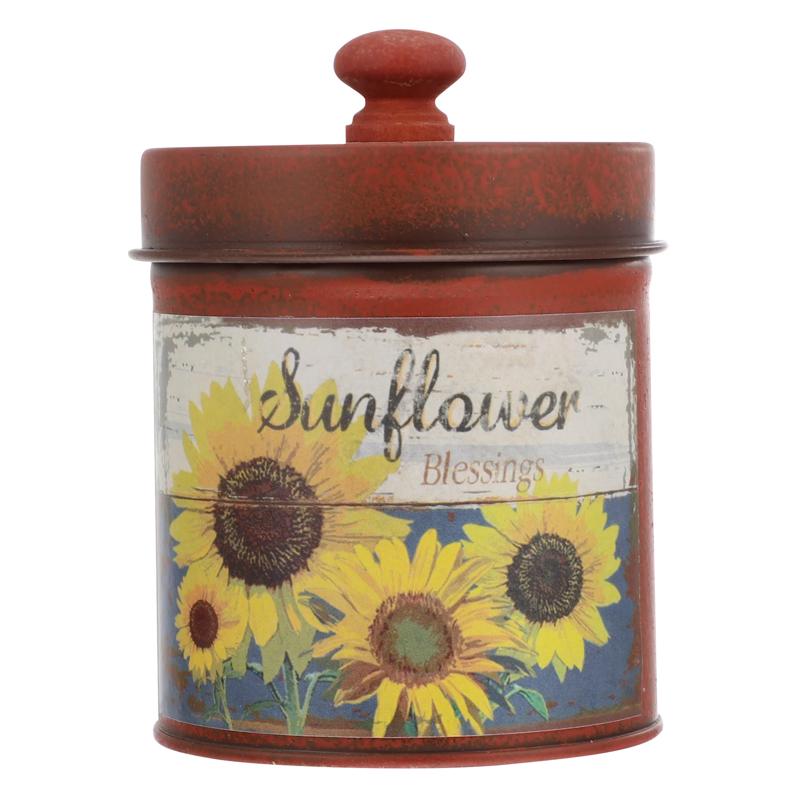 

Iron Flower Bucket Pot Plant Succulent Flowerpot Coffee Can Retro Style Holder Storage Container with Lid