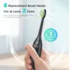 Fairywill Electric Sonic Toothbrush USB Charge FW-Y05 Rechargeable Waterproof Electronic Tooth Brushes Replacement Heads Adult 3