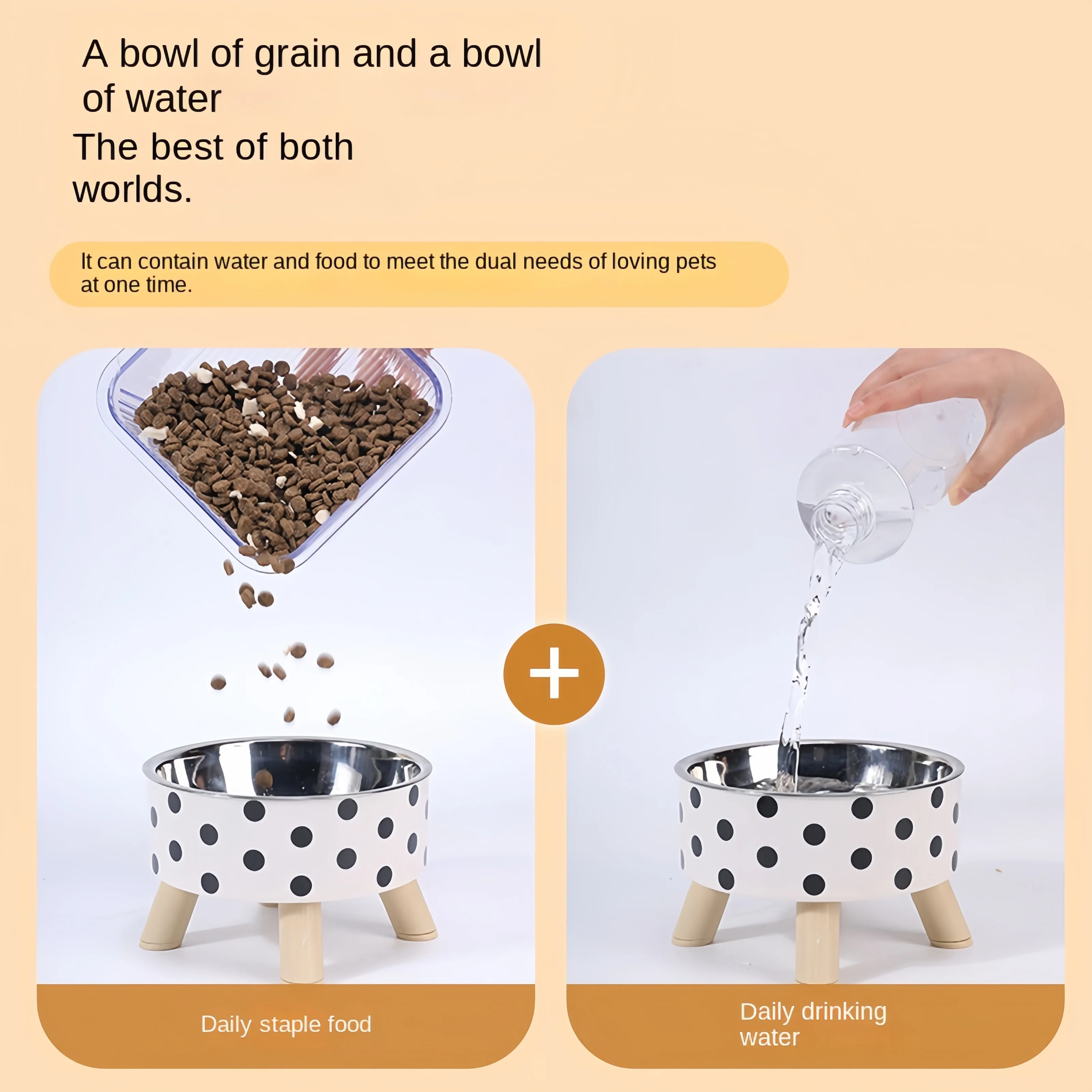Elevated Anti-Choke Cat Bowl 2
