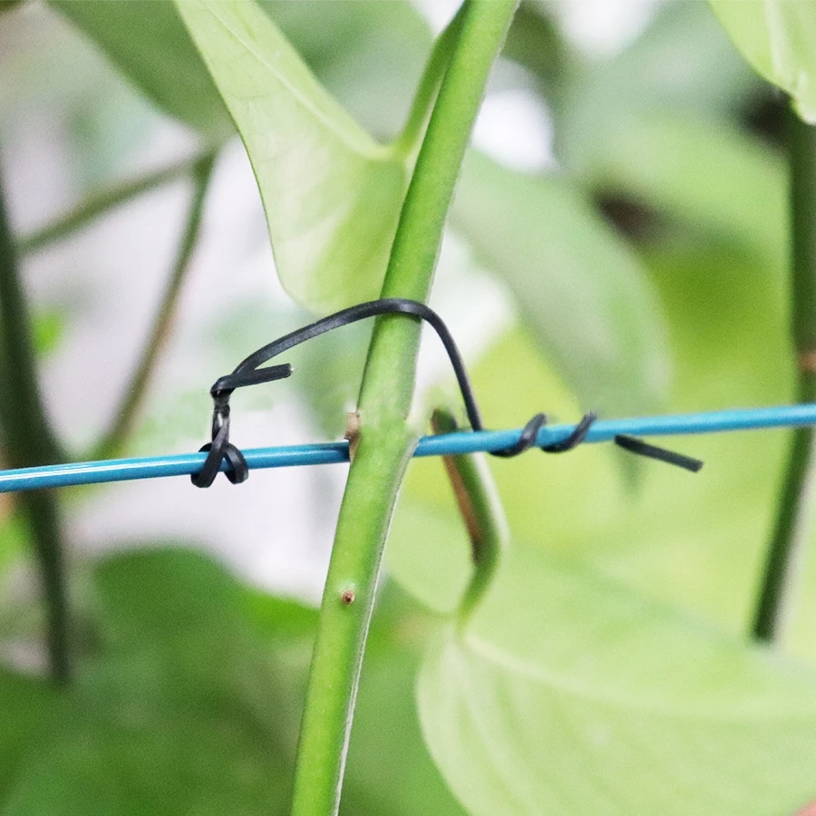 Plant Ties Plastic Plant Supports Plant Clips Plastic Plant Clips Plant Climbing Support Plant Stem Support Plant Support Stick Plant Support Connector Plant Support Racks 100pcs Plant Climbing Gardening Oblate Iron Wire Flower Vines Wire Ties Reusable Flower Plant Climbing Tools Coated Fix Strings