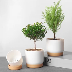 Succulent Plant Pot Double-layer Succulent Green Dill Round Double Layer Small Green Plant Flowerpot Succulent Small Flower Pot