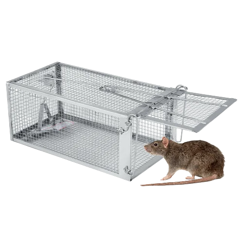 Description Picture 4 of item1pc Humane Rat Trap Live Traps for Chipmunks Rats and Mice Mouse Catch and Release for Indoor Outdoor Humane Rat Cage Traps
