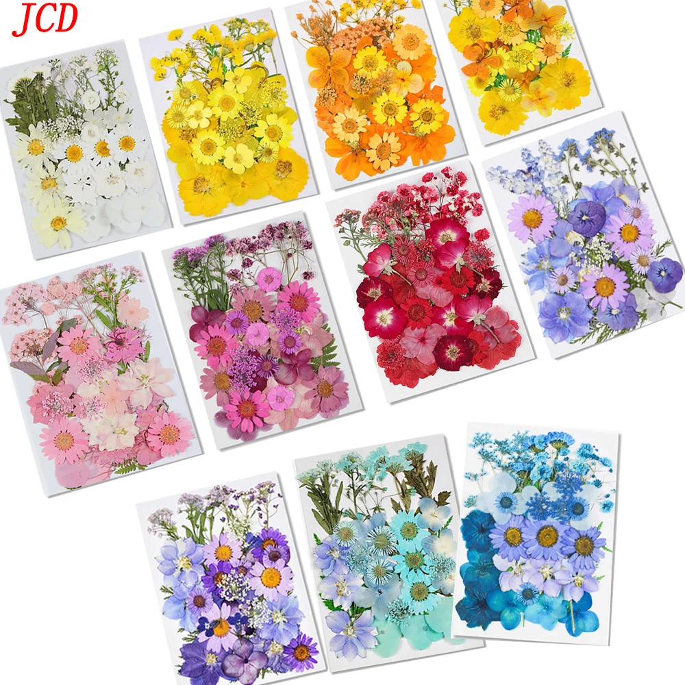 Colorful Natural Dried Pressed Flowers For Handmade Crafts Dried Flowers  Leaves DIY Candles Epoxy Resin Decoration Flowers - AliExpress
