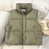2024 New Autumn Winter Korean Loose Down Cotton Vest Women Short Stand Collar Sleeveless Jacket Coats Fashion Waistcoat Vests 1