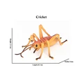 Cricket