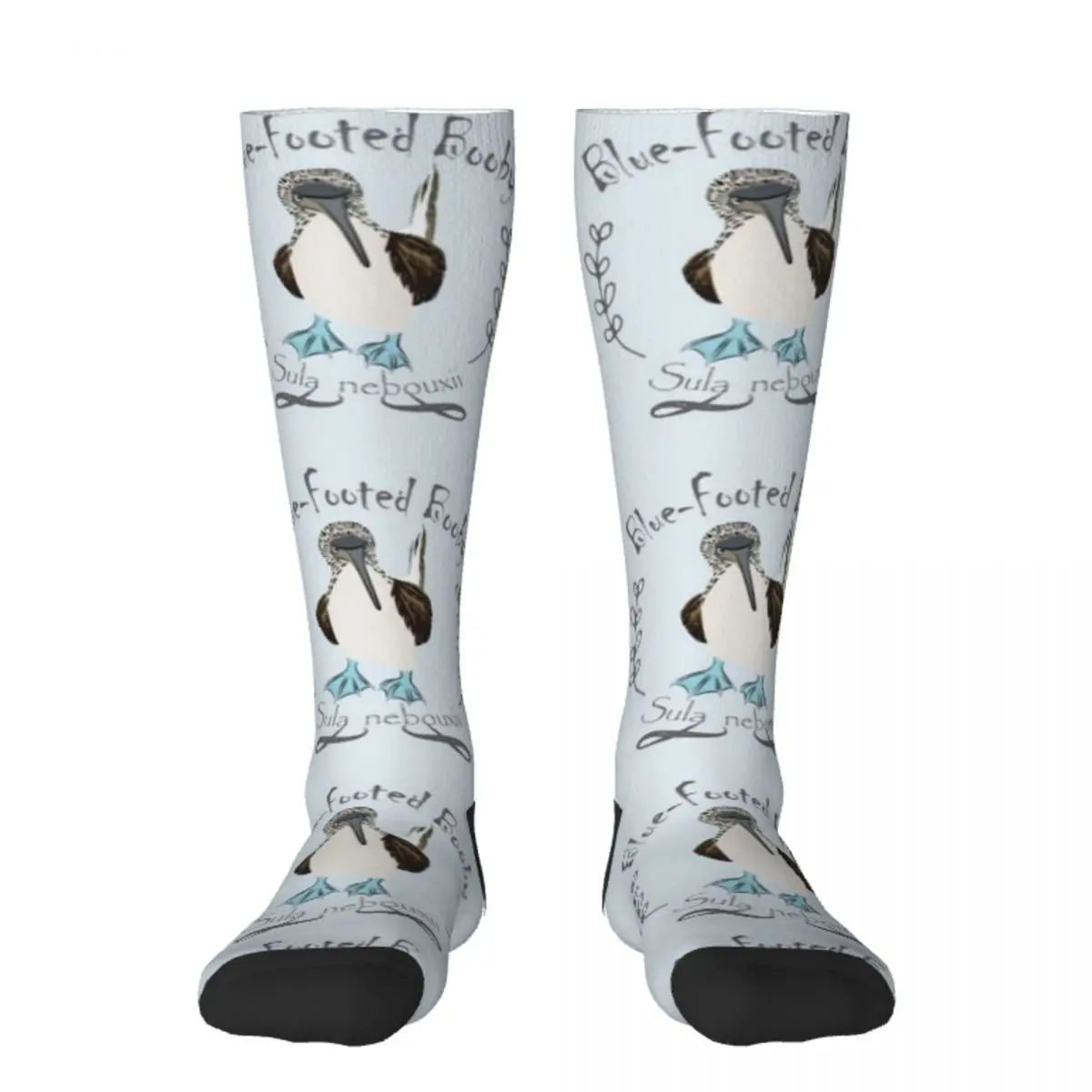 

Голубые носки Galapagos Booby, зимние подарки, прозрачные носки для женщин и мужчин