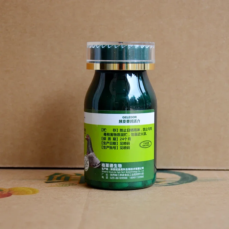 Pigeon Disease Treatment Seven pigeons against Salmonella Newcastle disease stubborn water green then throw food vomit racing pigeon pigeon special