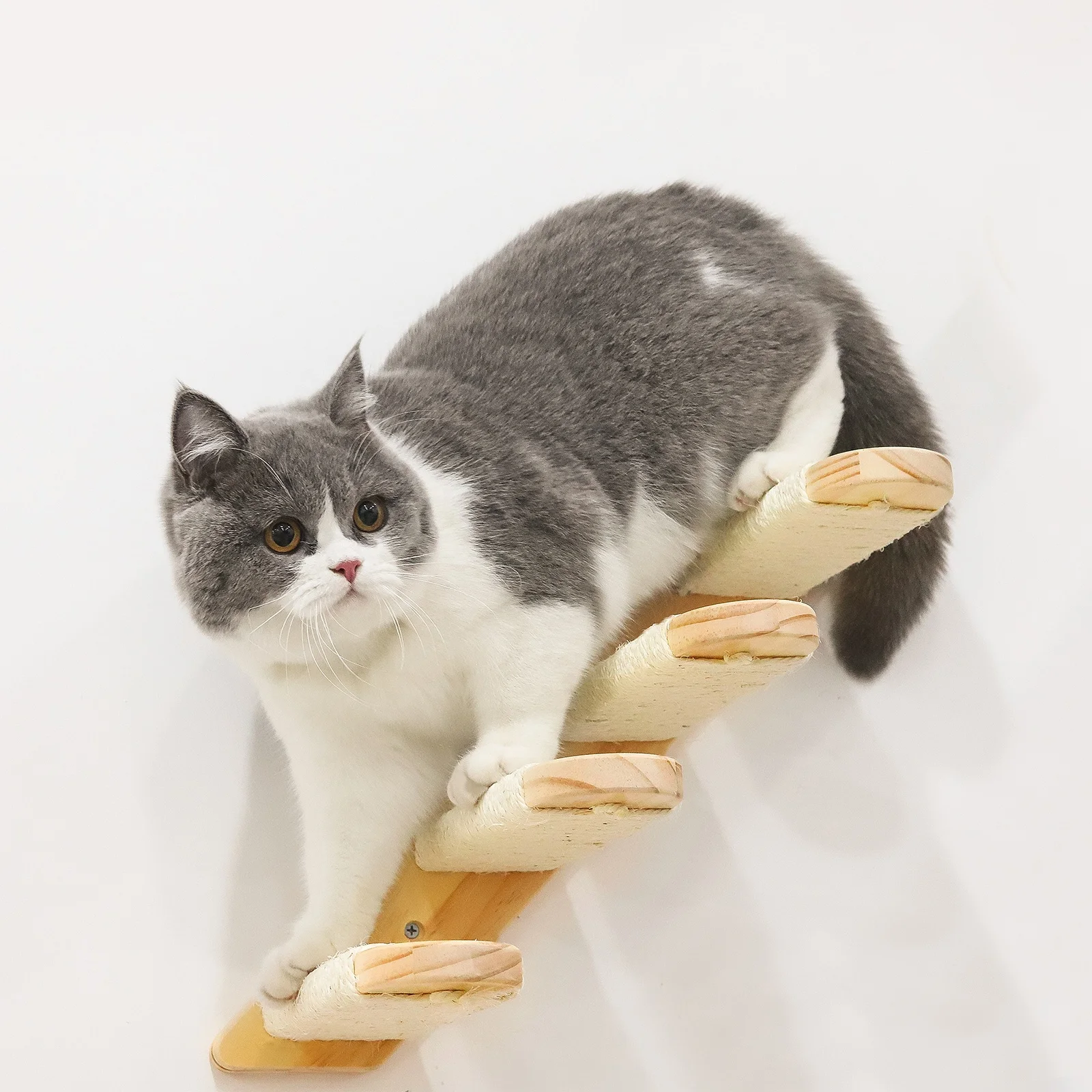 

Manufacturer wholesale custom cat climbing frame wall type cat stairs