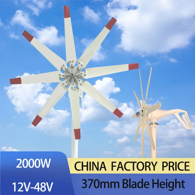 China Factory 1000w 24v Wind Turbine With 8 Blades Mppt Controller