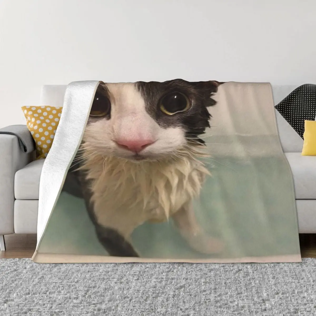 

Soggy Cat Throw Blanket Shaggy Extra Large Throw Furry Blankets