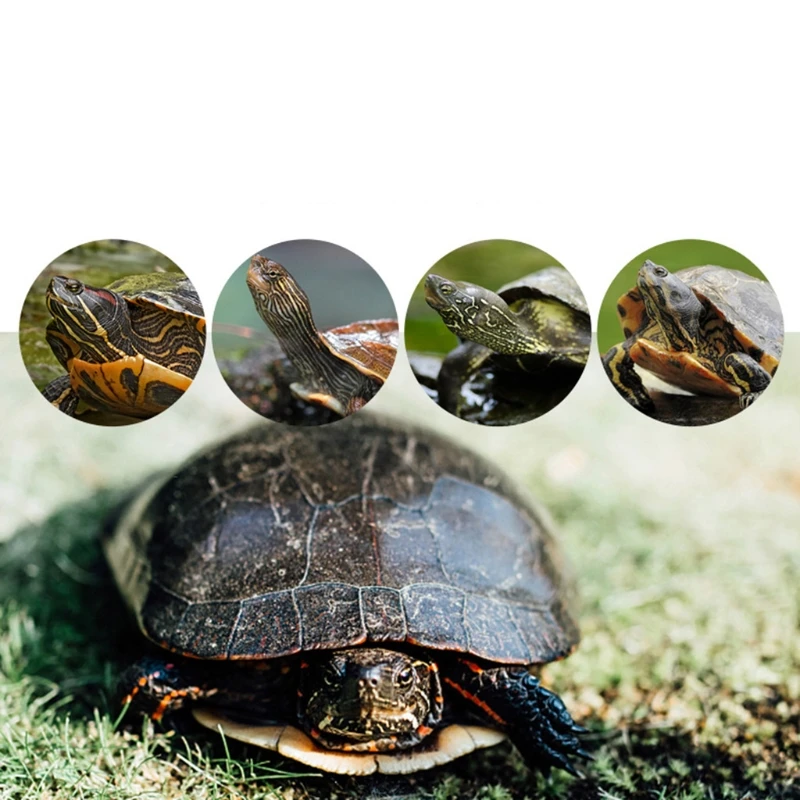 Turtle Climbing Basking Platform Tortoise Sunbathe Pier Reptile Ramp Floating Island for Turtle Tank Aquarium Ornaments