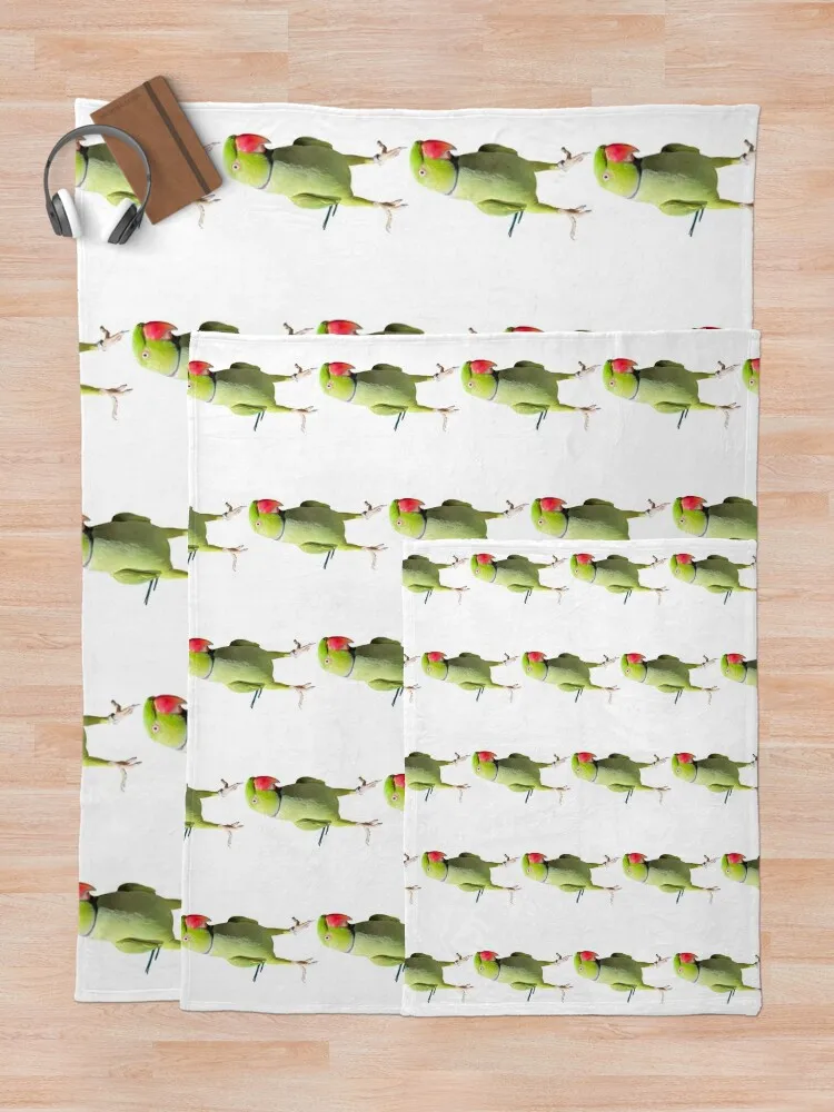 Zap �� �ƿ� �ٵ�, ���� ���, ���� ���� ���, ǫ���� ���