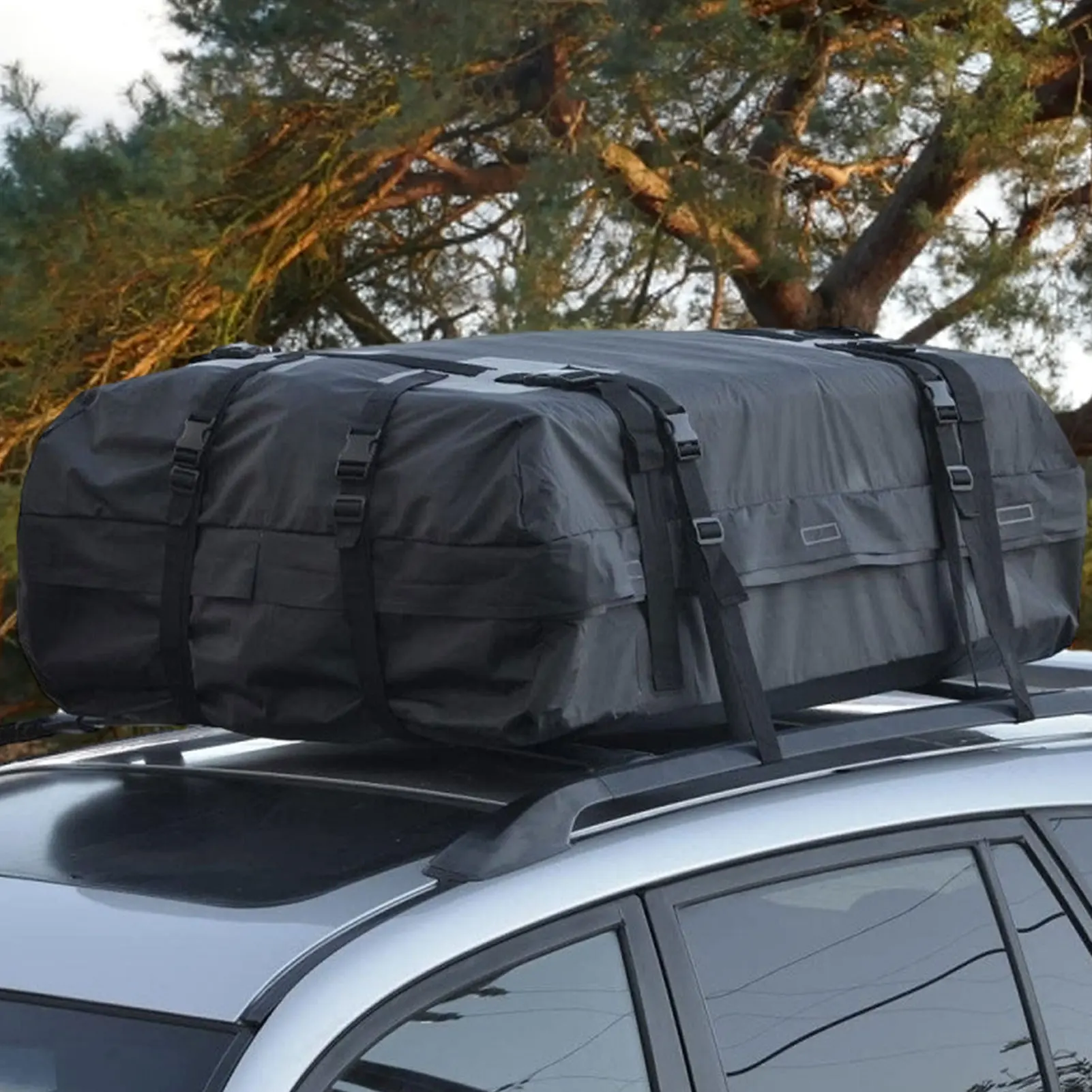 Top more than 145 roof rack carrier bag best kidsdream.edu.vn
